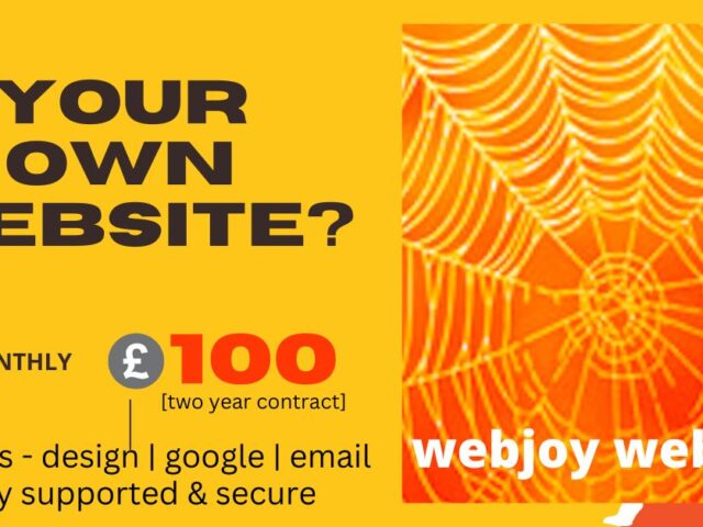 Your own website – £45 per month [minimum 24 month contract]